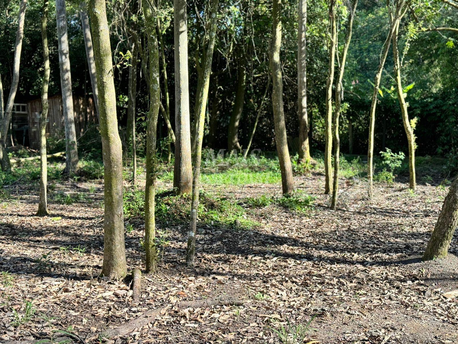 Terreno, 1500 m² - Foto 7