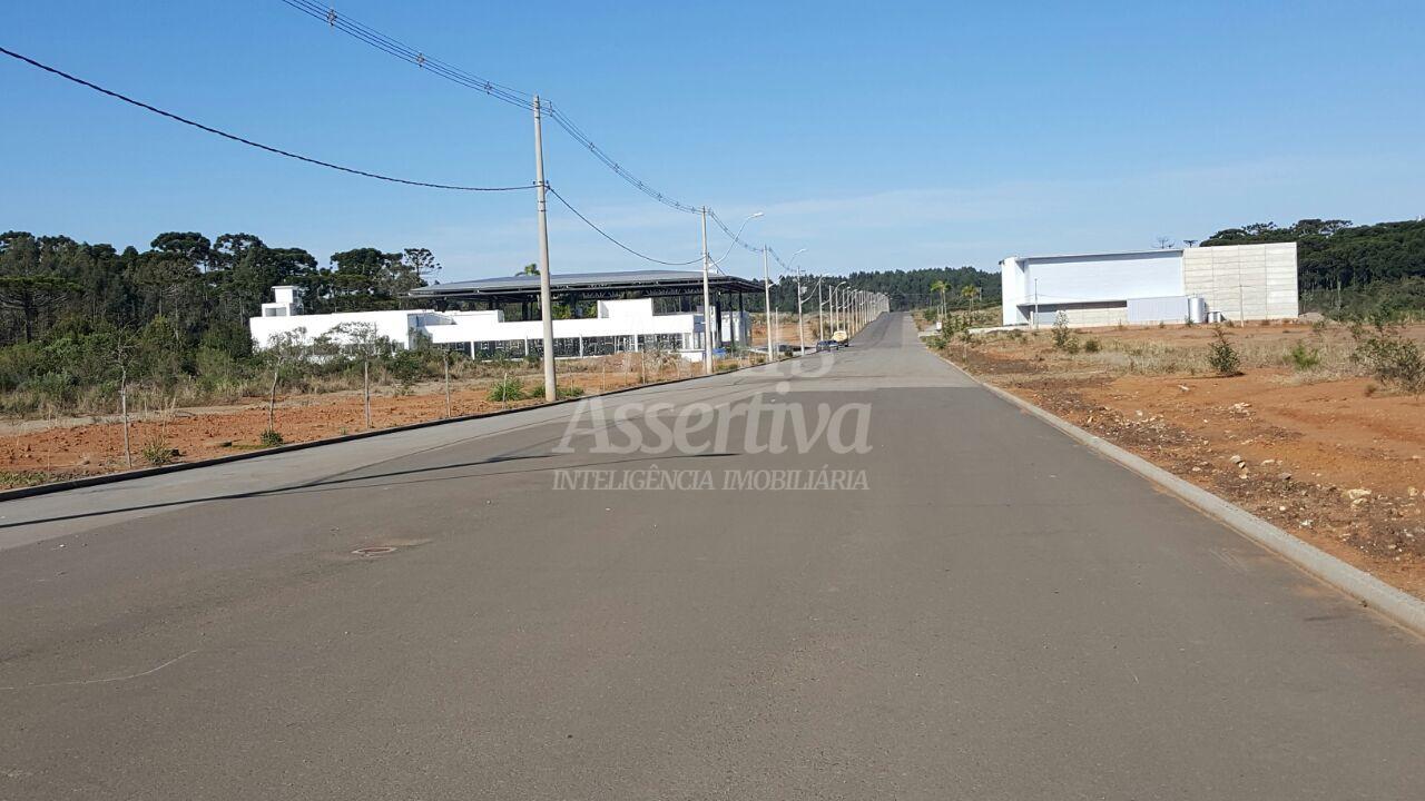 Pavilhão Industrial para venda em Farroupilha