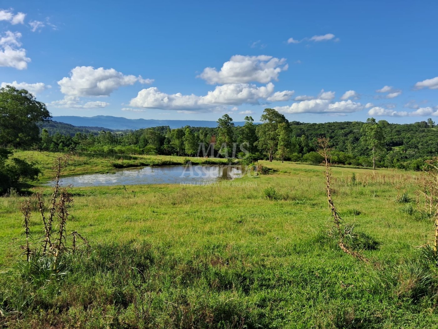 Terreno, 57 hectares - Foto 1