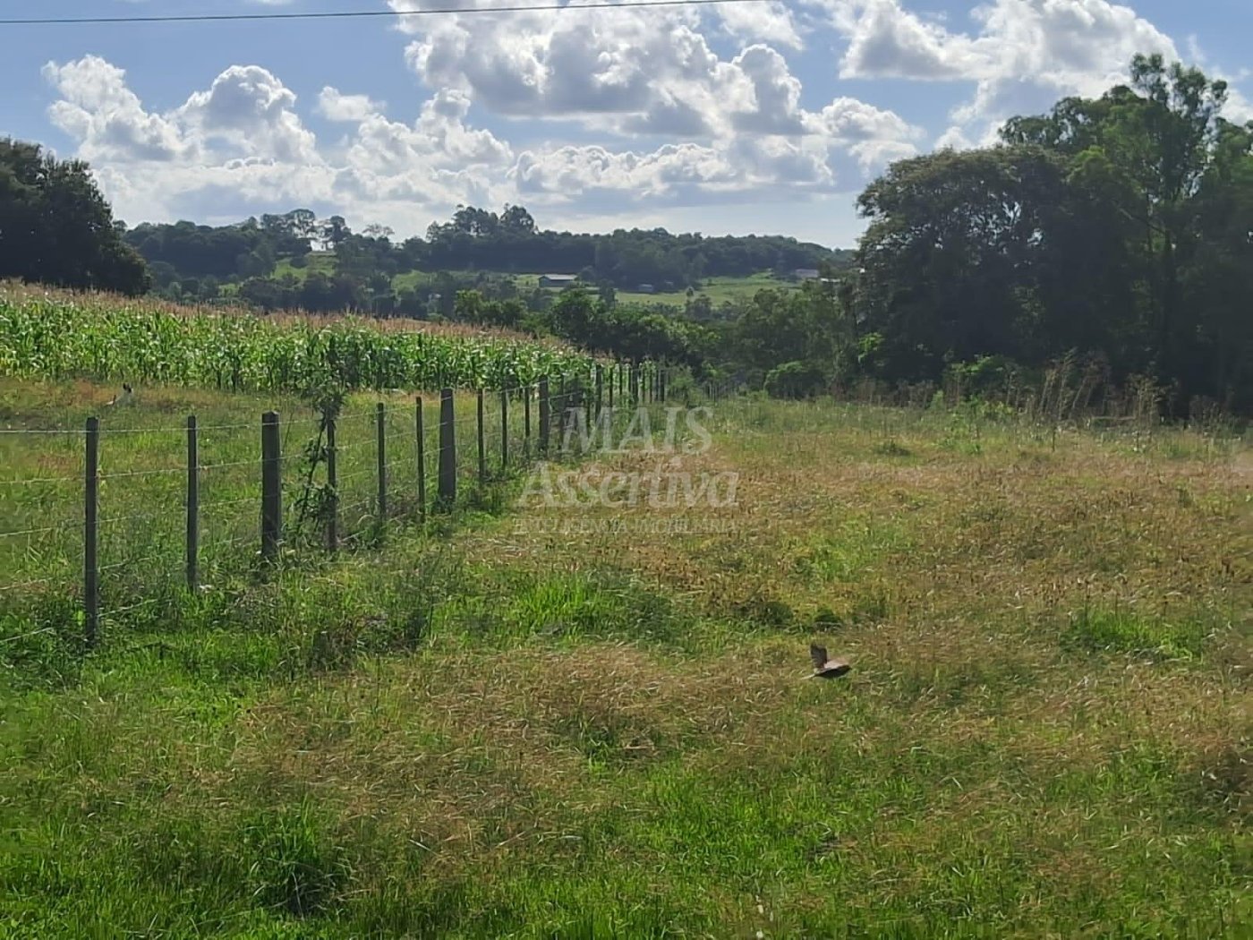 Terreno, 57 hectares - Foto 9
