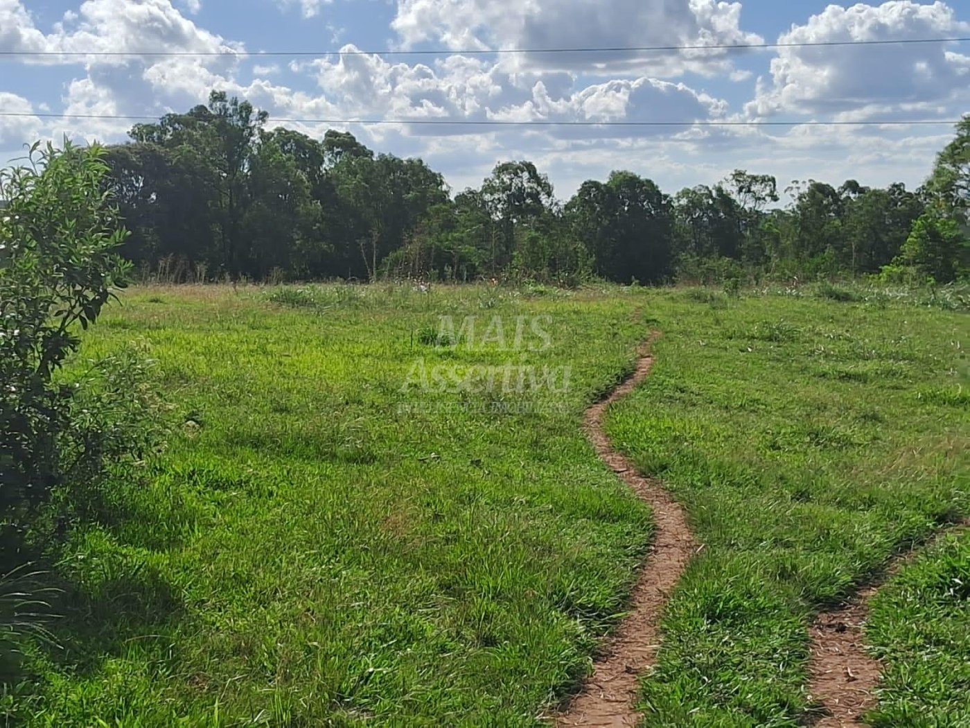 Terreno, 57 hectares - Foto 10