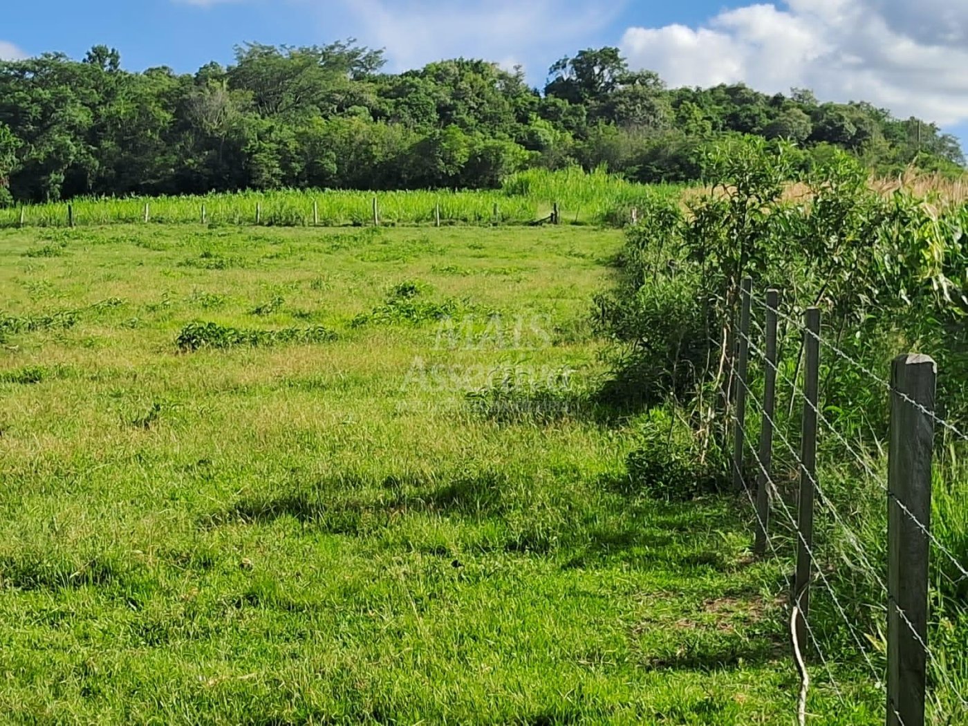 Terreno, 57 hectares - Foto 11
