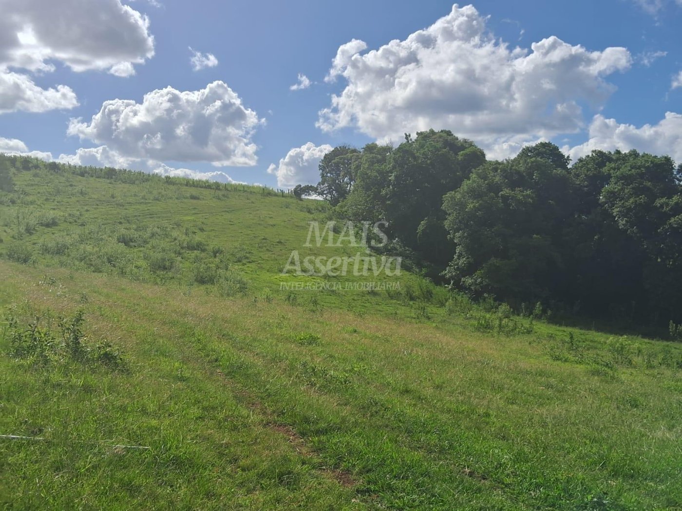 Terreno, 57 hectares - Foto 12
