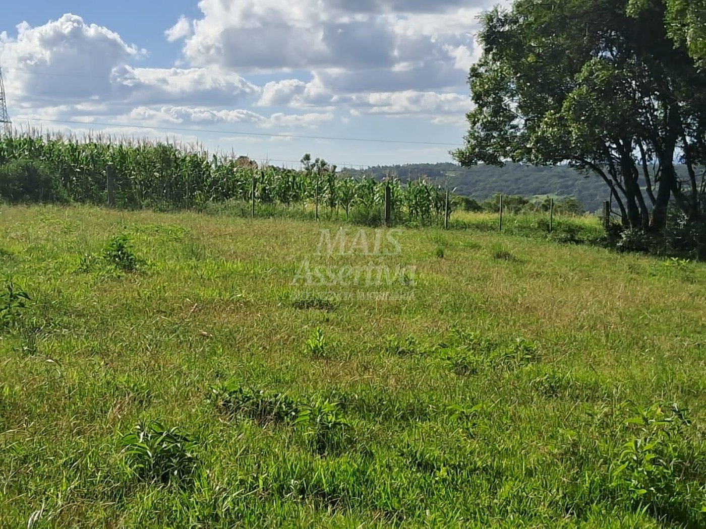 Terreno, 57 hectares - Foto 13