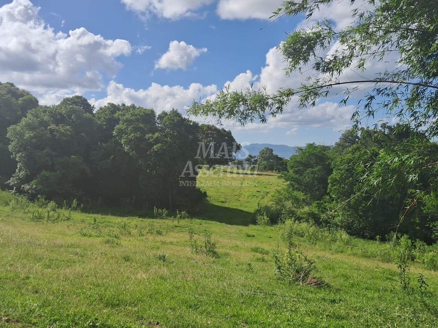 Terreno, 57 hectares - Foto 14