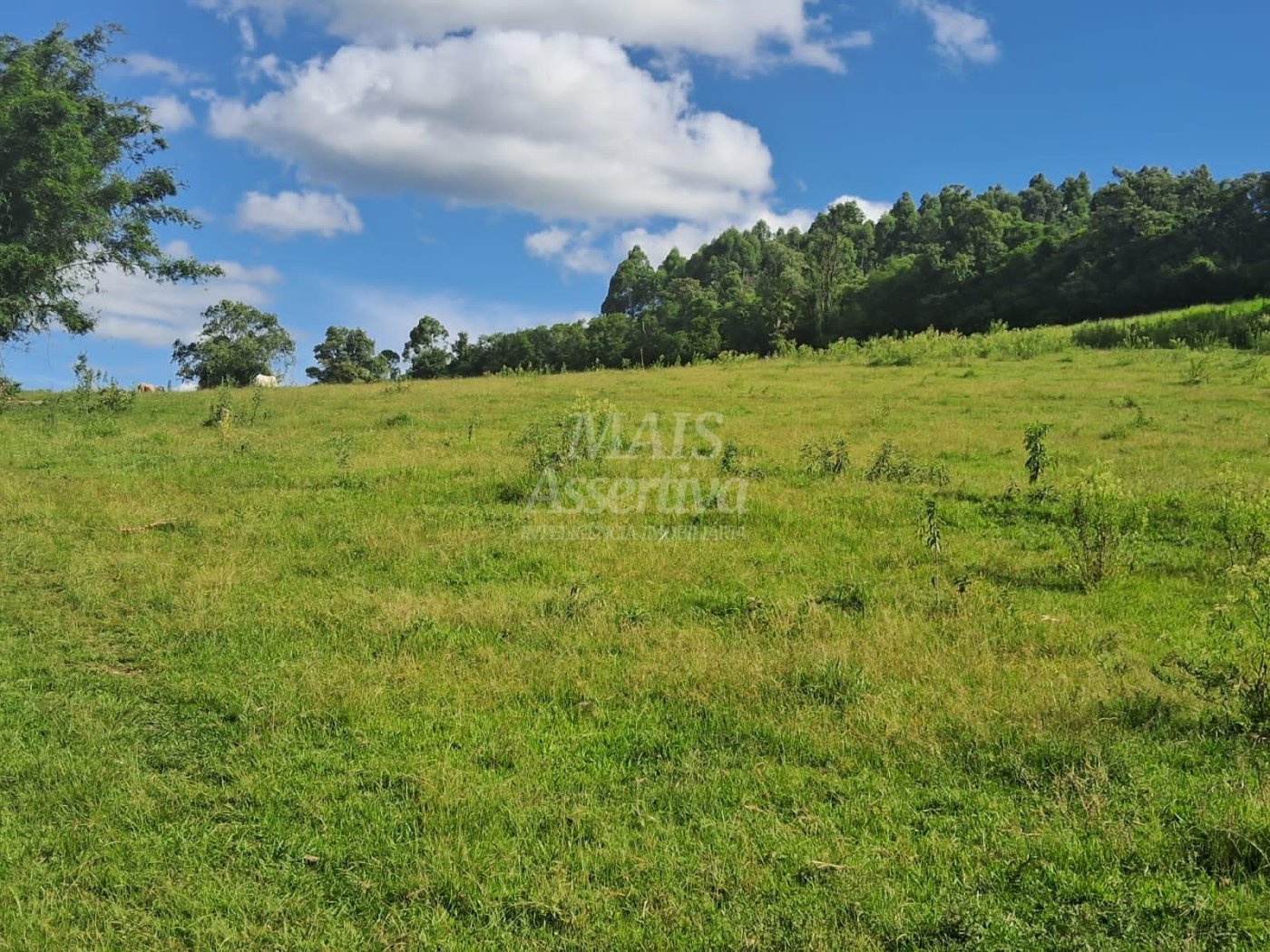 Terreno, 57 hectares - Foto 15