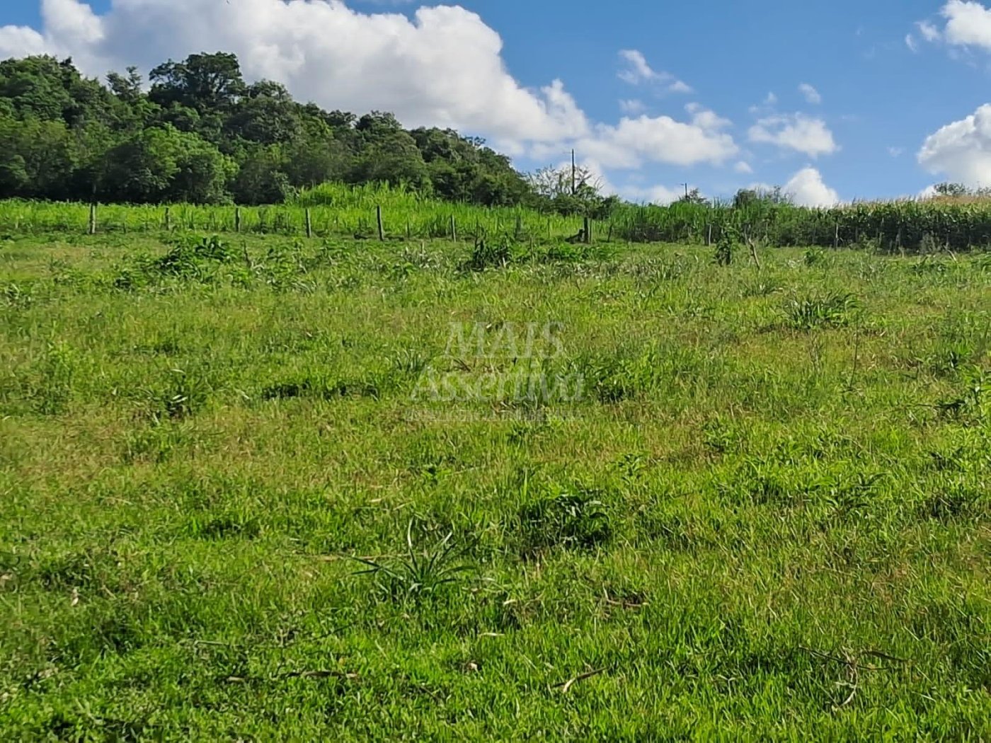 Terreno, 57 hectares - Foto 17