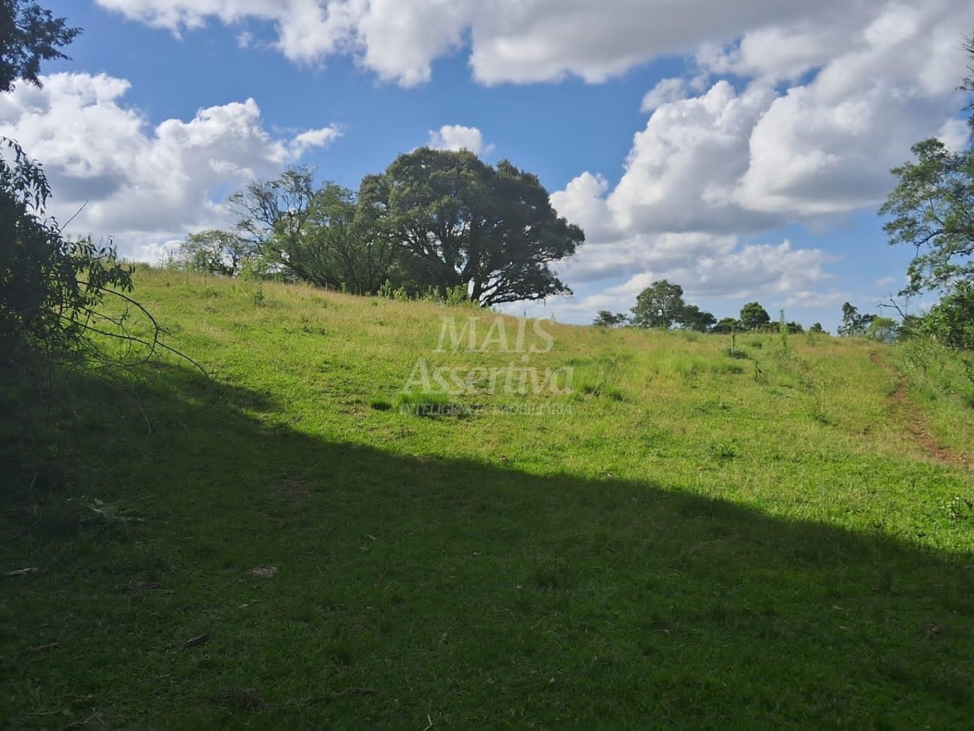 Terreno, 57 hectares - Foto 18