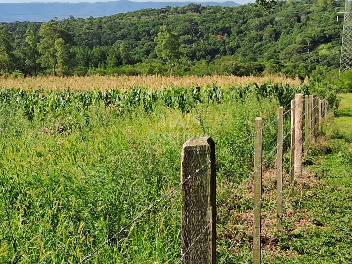 Terreno, 57 hectares - Foto 20