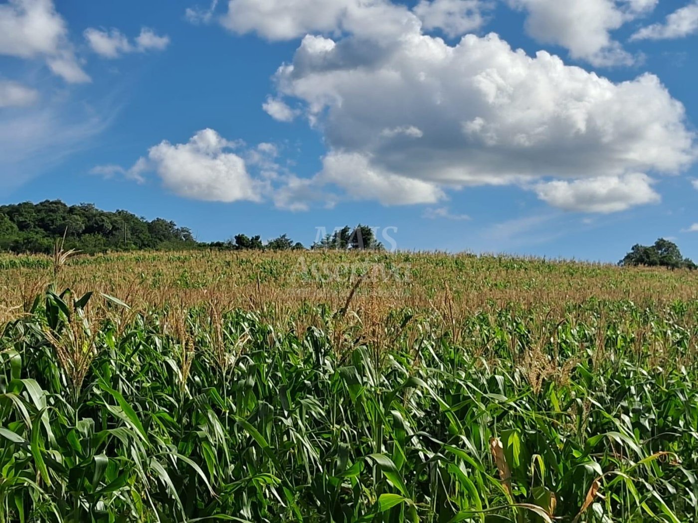 Terreno, 57 hectares - Foto 21