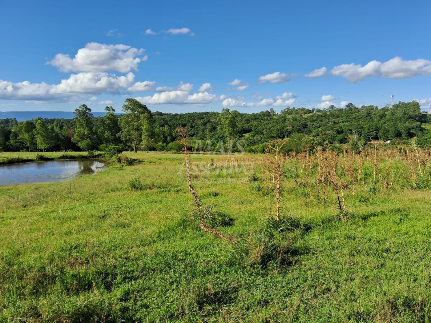 Terreno, 57 hectares - Foto 24