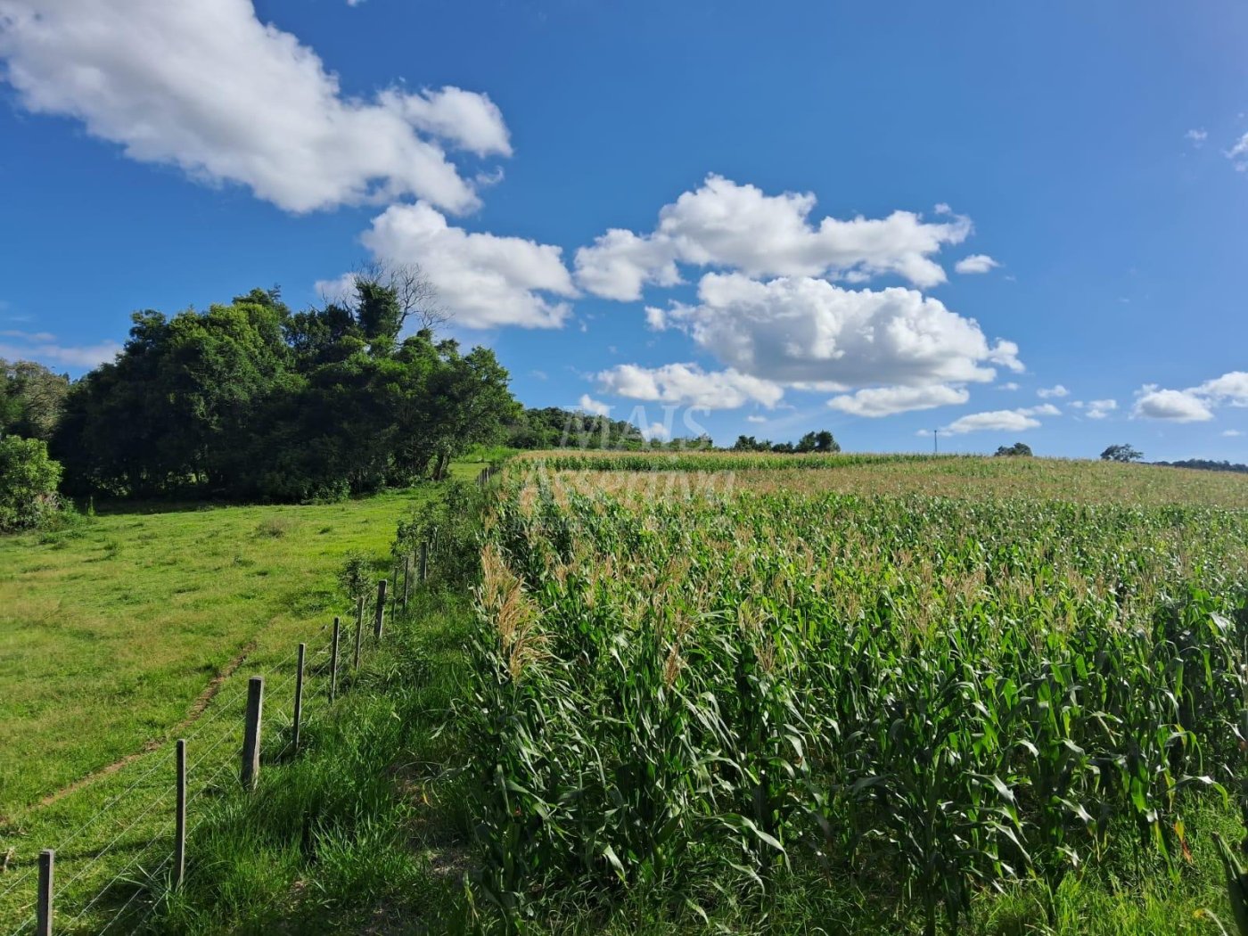 Terreno, 57 hectares - Foto 6