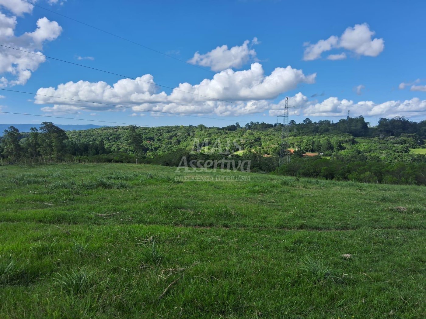 Terreno, 57 hectares - Foto 7