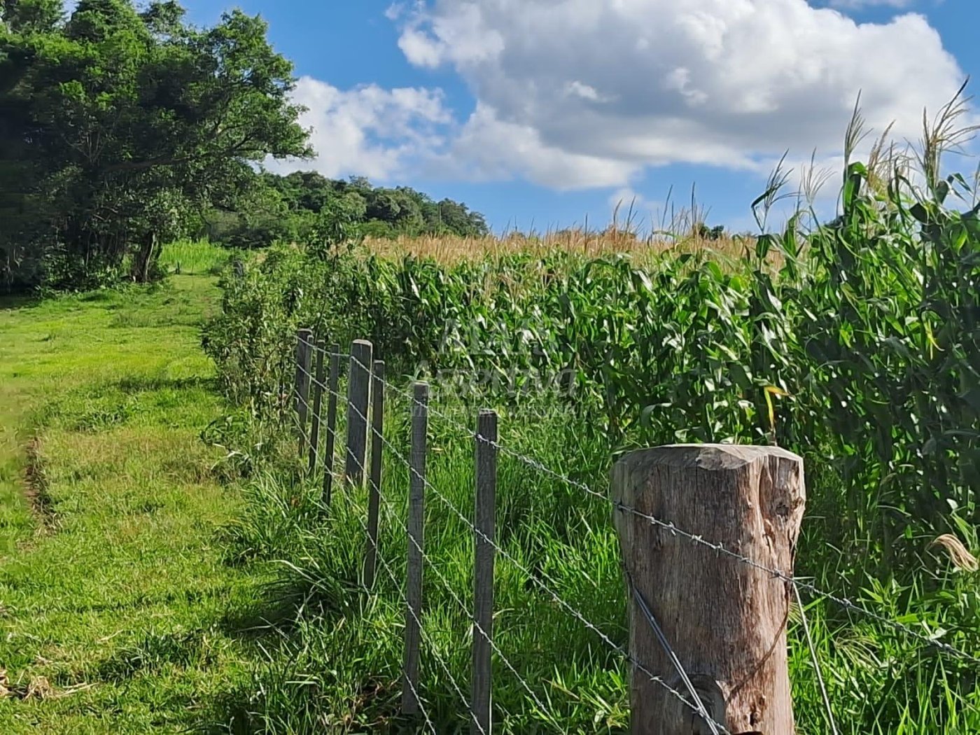 Terreno, 57 hectares - Foto 8