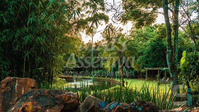 Sítio, 5000 m² - Foto 4