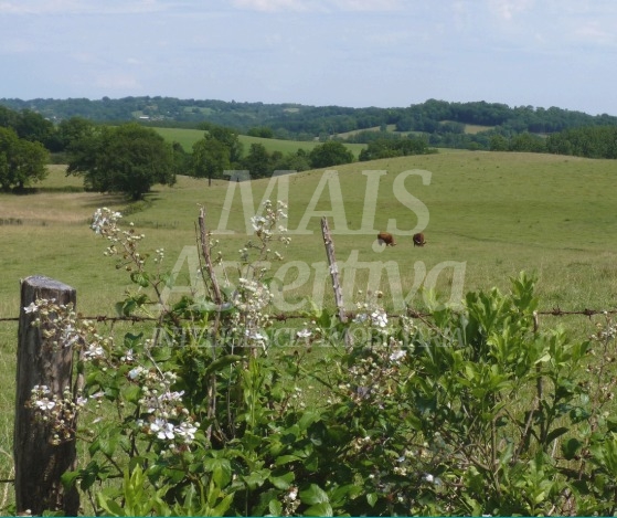 Excelente Fazenda com área de 82,371 hectares em Gravataí Bairro Itacolomi