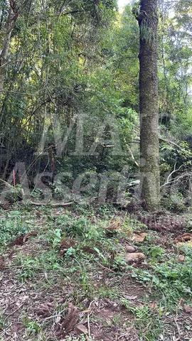 Terreno, 4 m² - Foto 4