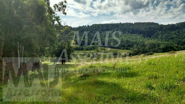 Excelente Chácara com 87 hectares para venda em Capela de Santana