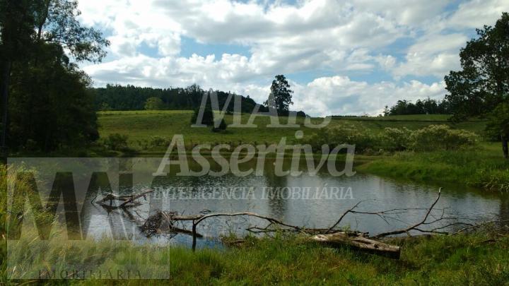 Excelente Chácara com 87 hectares para venda em Capela de Santana