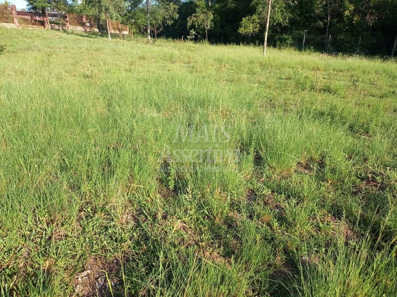 Complexo Industrial para venda na Av. Parobé com 8 prédios comercias 