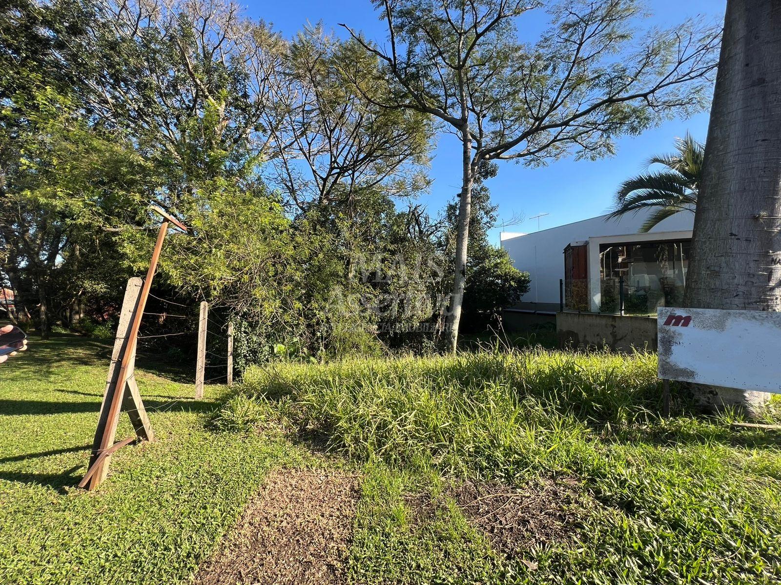 Terreno, 1160 m² - Foto 5