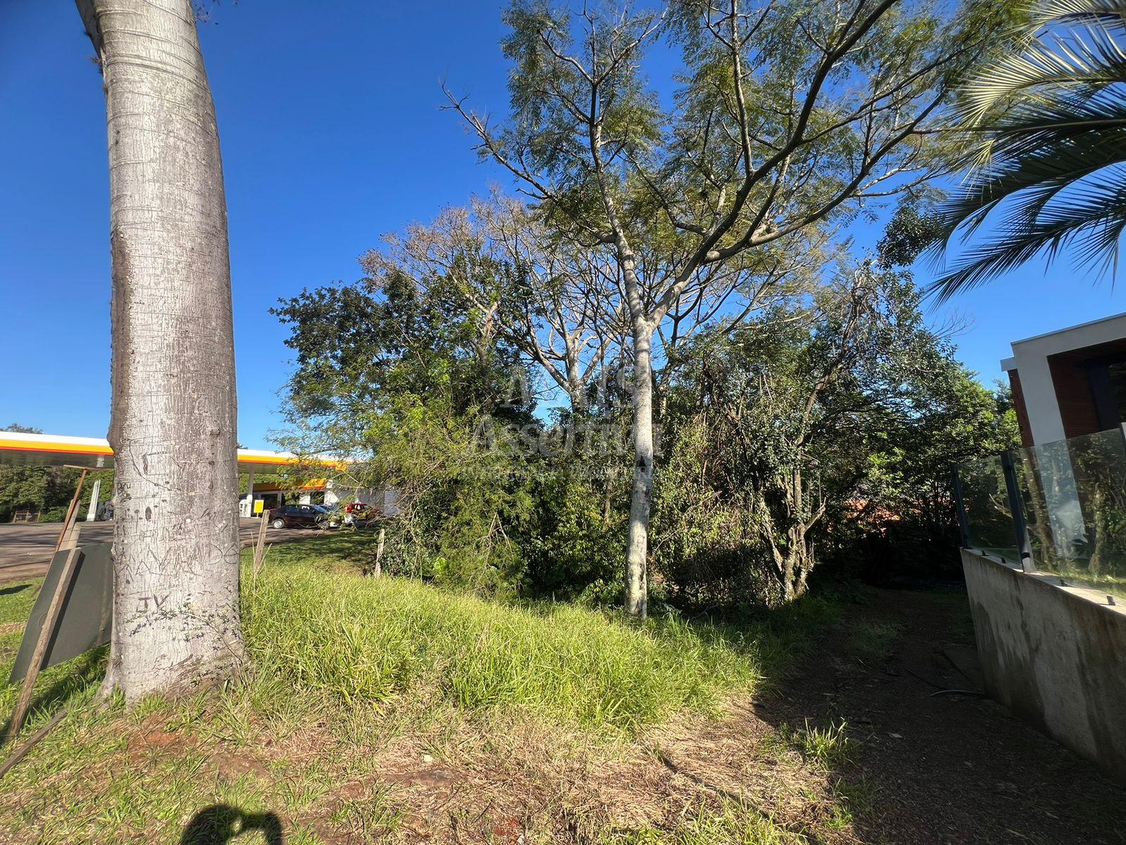 Terreno, 1160 m² - Foto 7