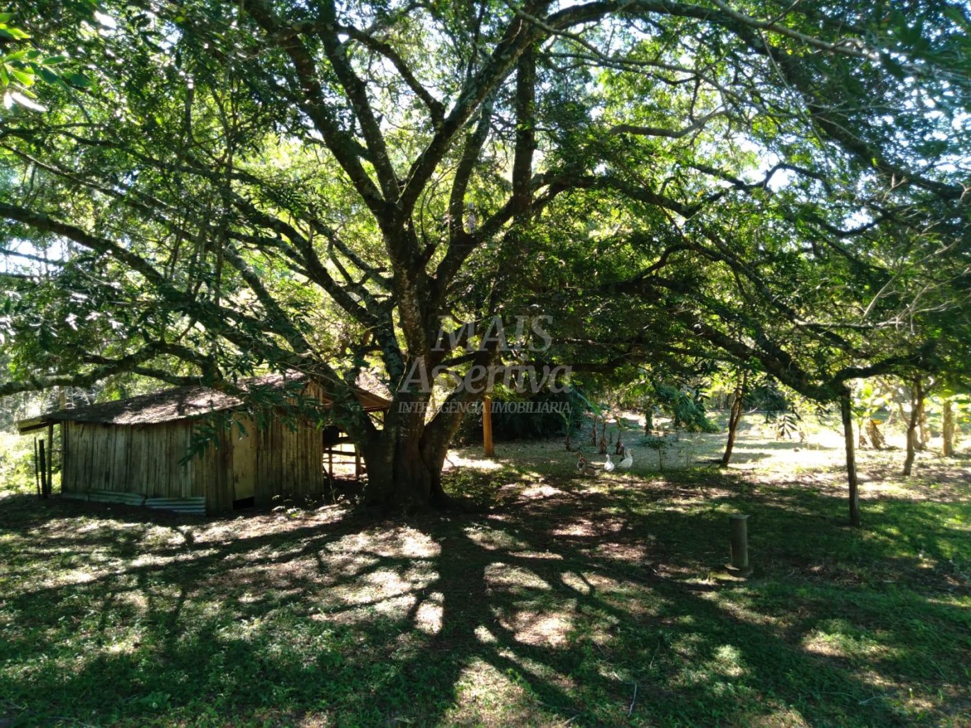 Excelente Sítio à venda em Viamão/RS - 17,9 hectares 