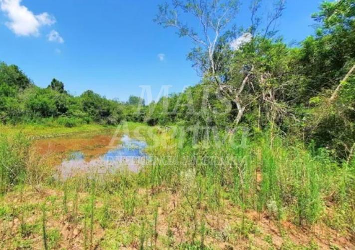 Excelente Sítio à venda em Viamão/RS - 17,9 hectares 