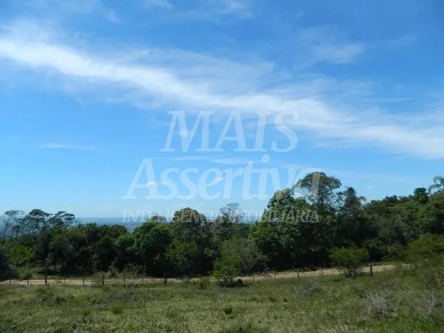 Excelente sítio para venda localizado no bairro Morungava em Gravataí/RS 