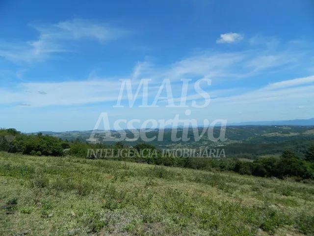 Excelente sítio para venda localizado no bairro Morungava em Gravataí/RS 