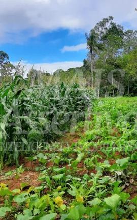 Sítio, 5 quartos, 2 hectares - Foto 13