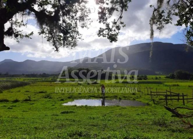 Sítio, 5 quartos, 2 hectares - Foto 15