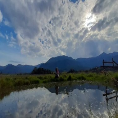 Excelente Sítio à venda em Aguapés, Osório/RS - 16 hectares