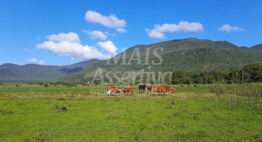 Excelente Sítio à venda em Aguapés, Osório/RS - 16 hectares