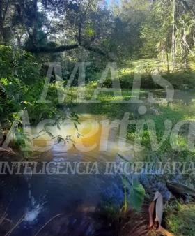 Excelente Sítio à venda em Aguapés, Osório/RS - 16 hectares