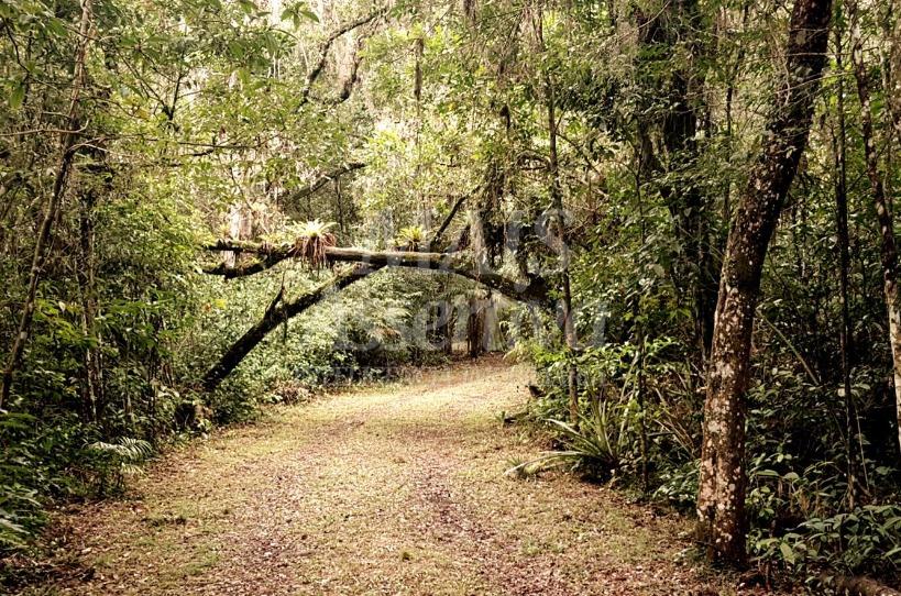 Excelente propriedade as margens da Lagoa das Malvas em Maquiné/RS - AIRBNB 