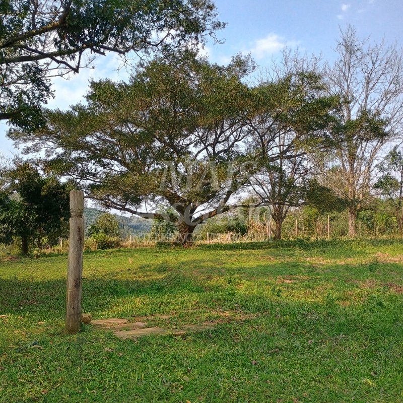 Sítio, 3 quartos, 20 m² - Foto 1