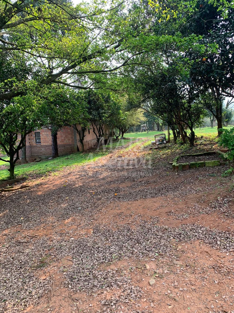 Sítio, 3 quartos, 20 m² - Foto 17
