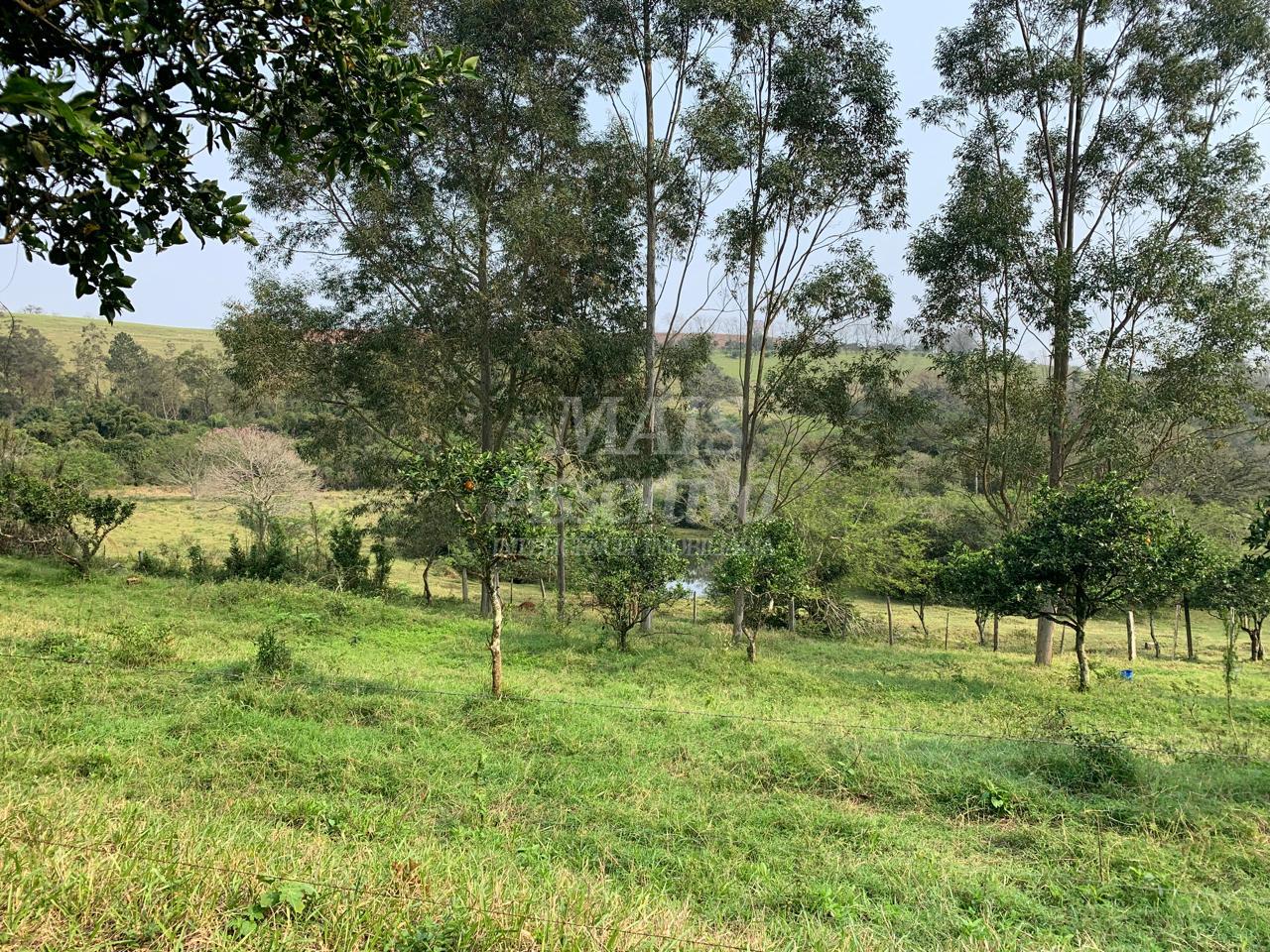 Chácara para venda em Lomba Grande, Novo Hamburgo - 2 hectares 