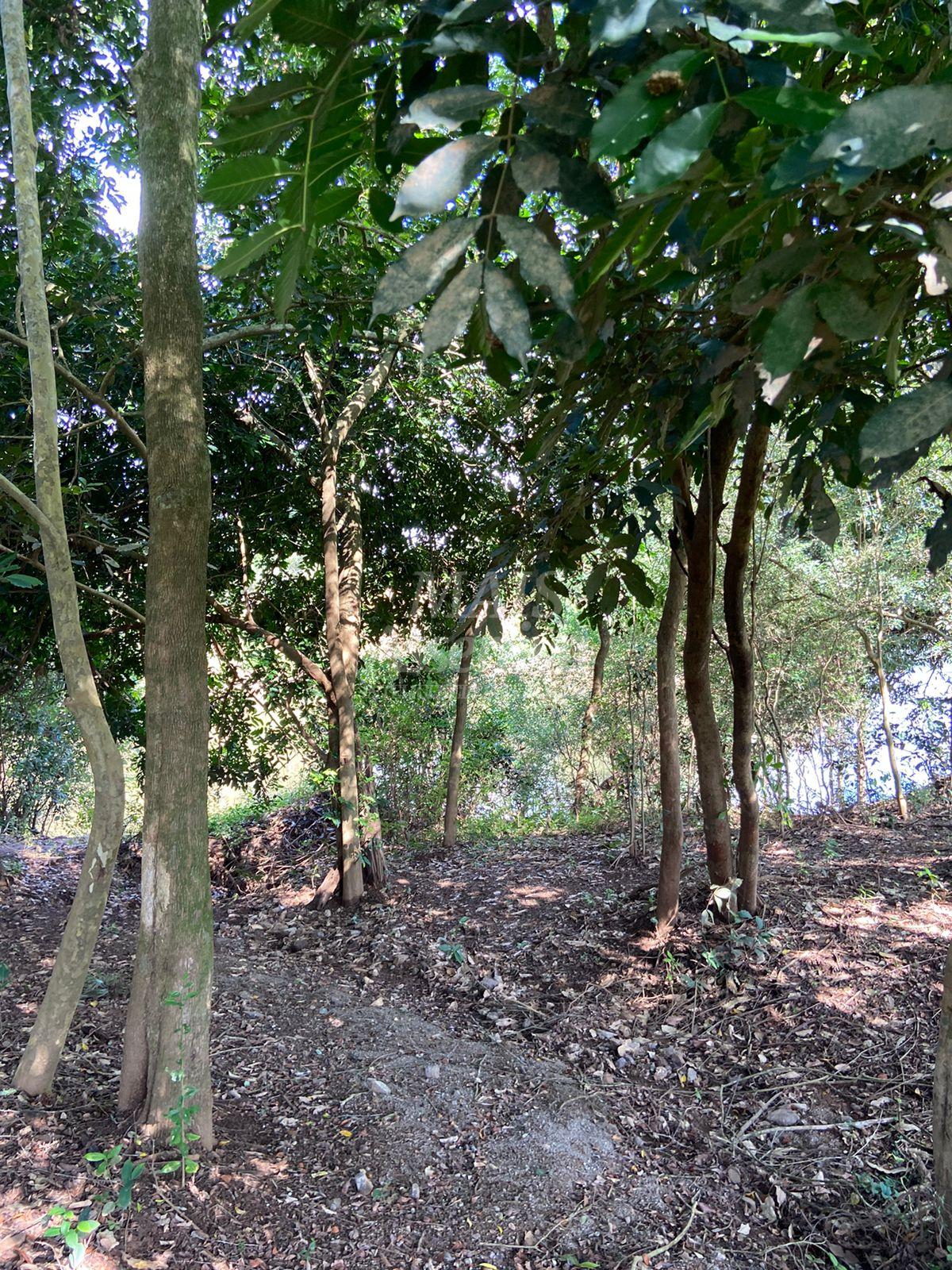 Sítio para venda em Parobé 