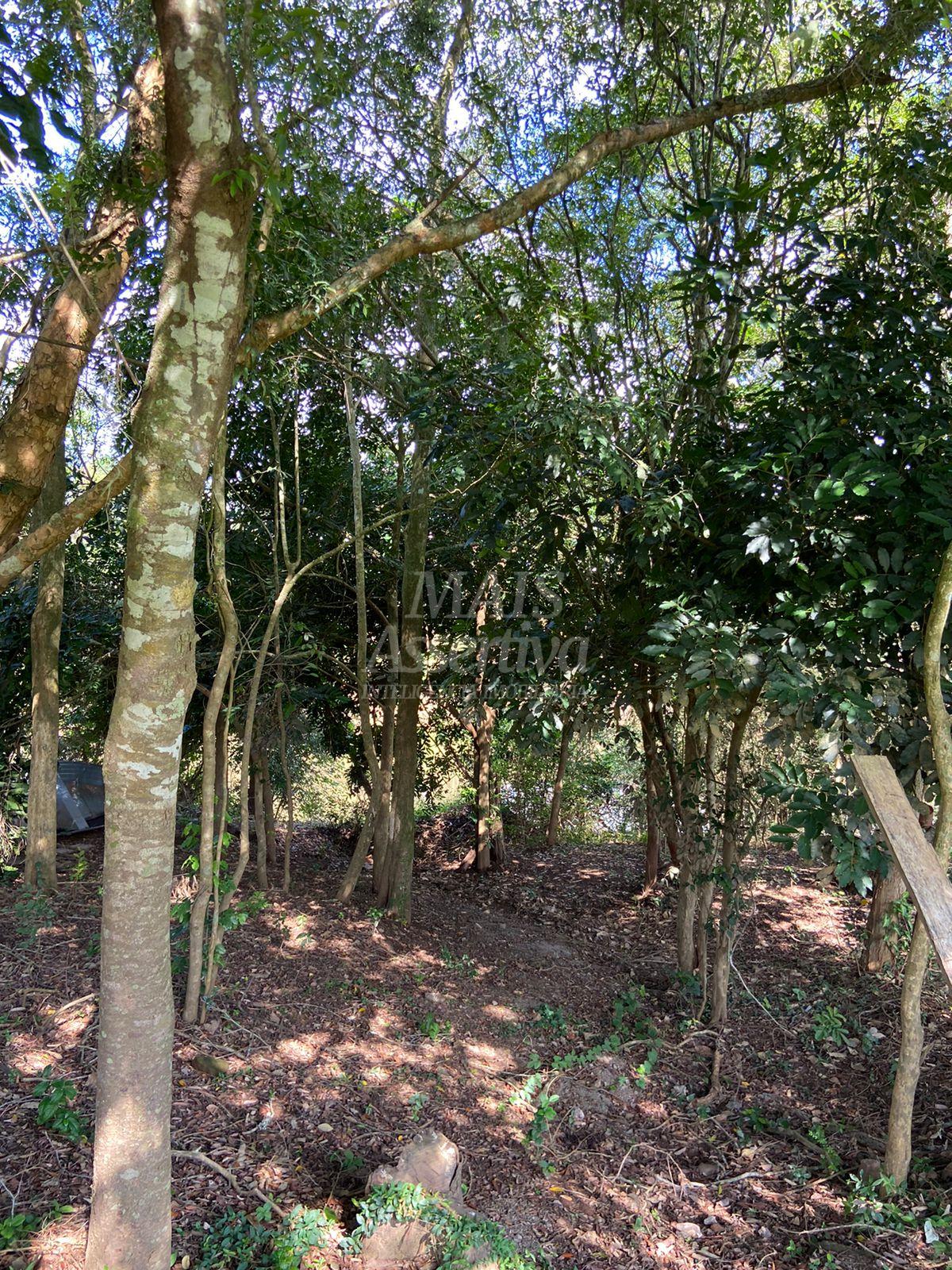 Sítio para venda em Parobé 