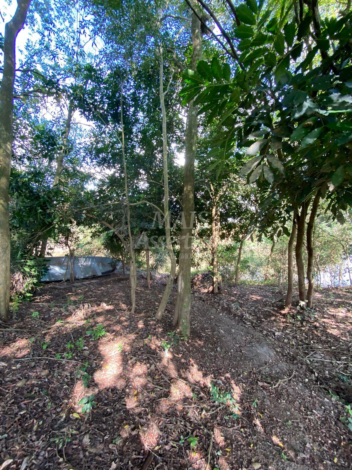 Sítio para venda em Parobé 