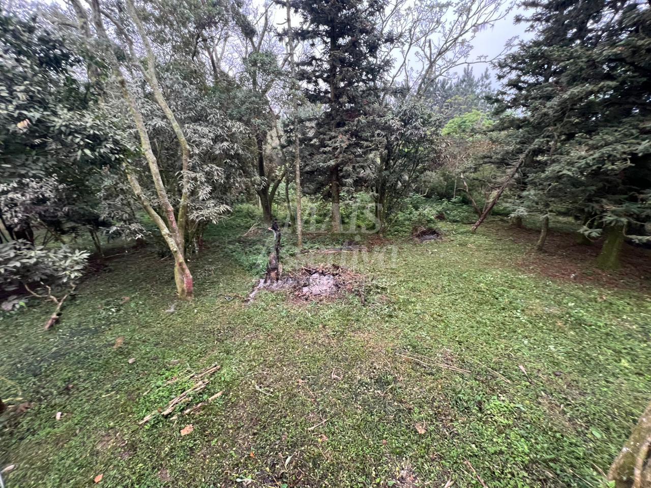 Sítio / Chácara 03 quartos para Venda no bairro Fazenda Fialho em Taquara