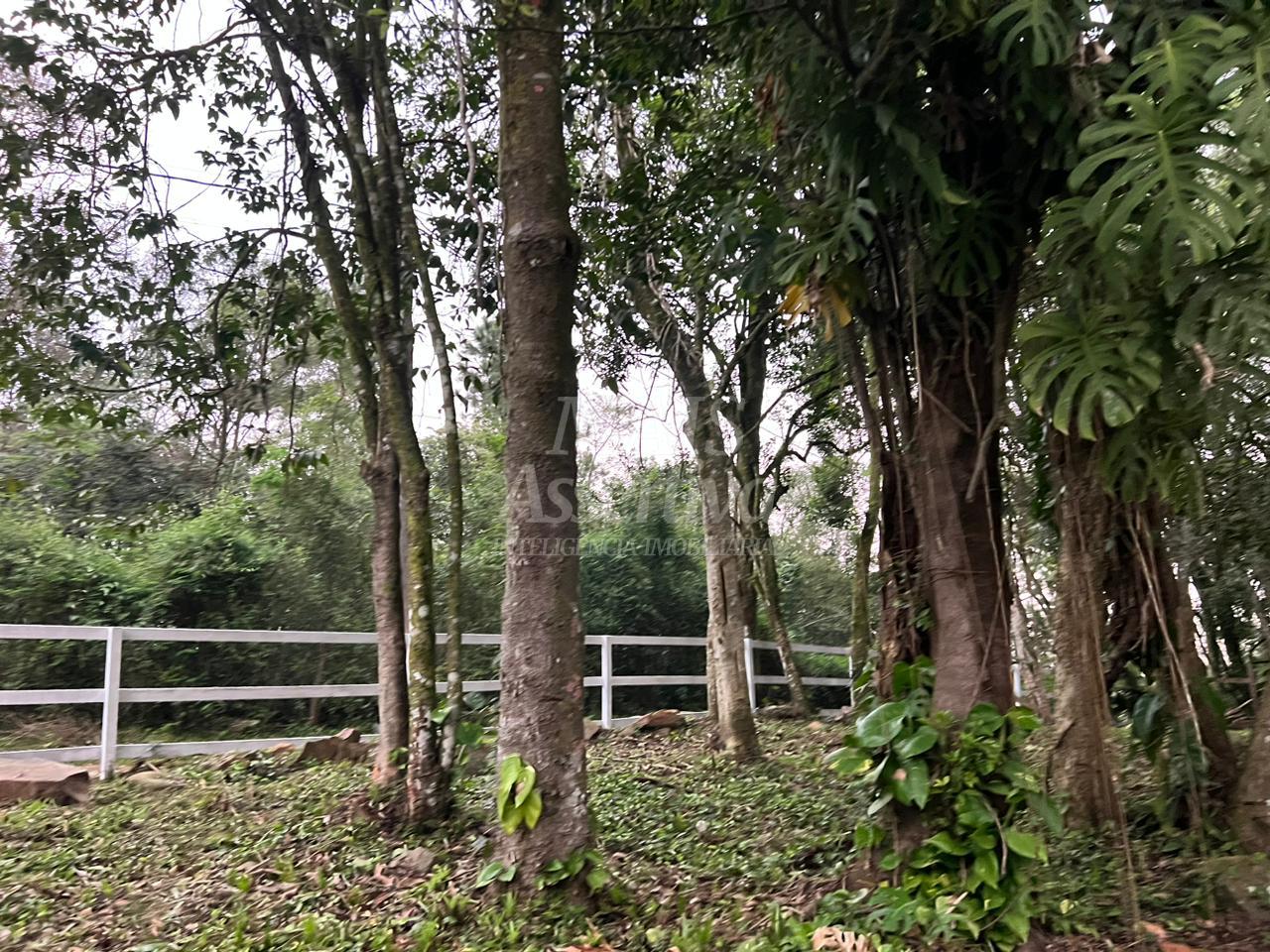 Sítio / Chácara 03 quartos para Venda no bairro Fazenda Fialho em Taquara