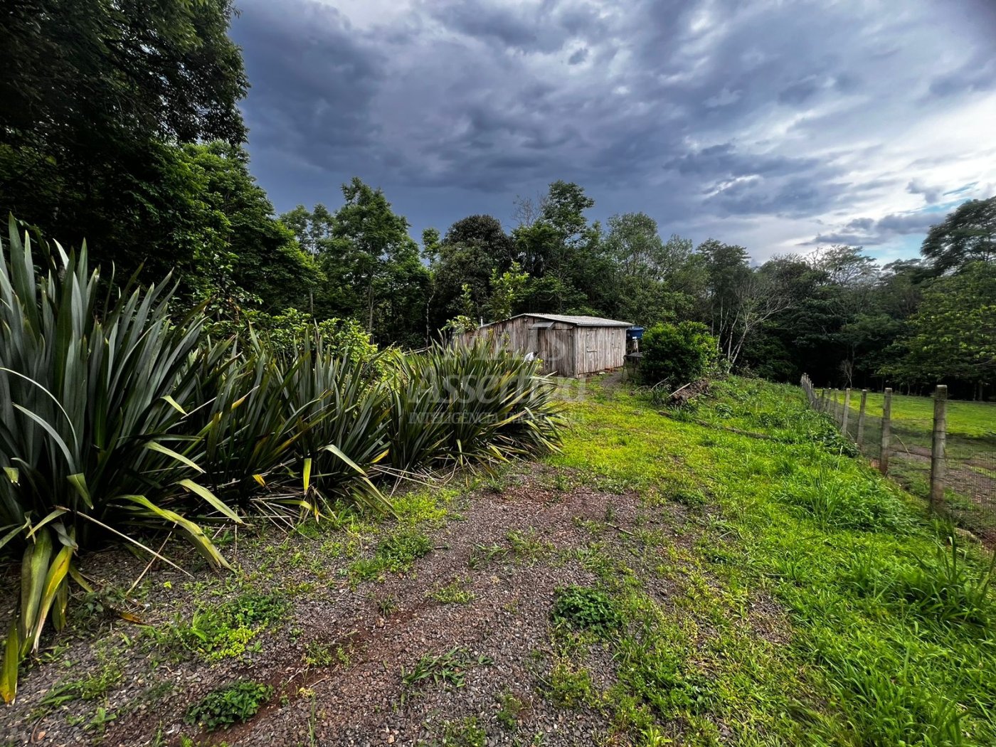 Chacara para venda em Campo Bom, Quatro Colônias Norte de 5.000m² 