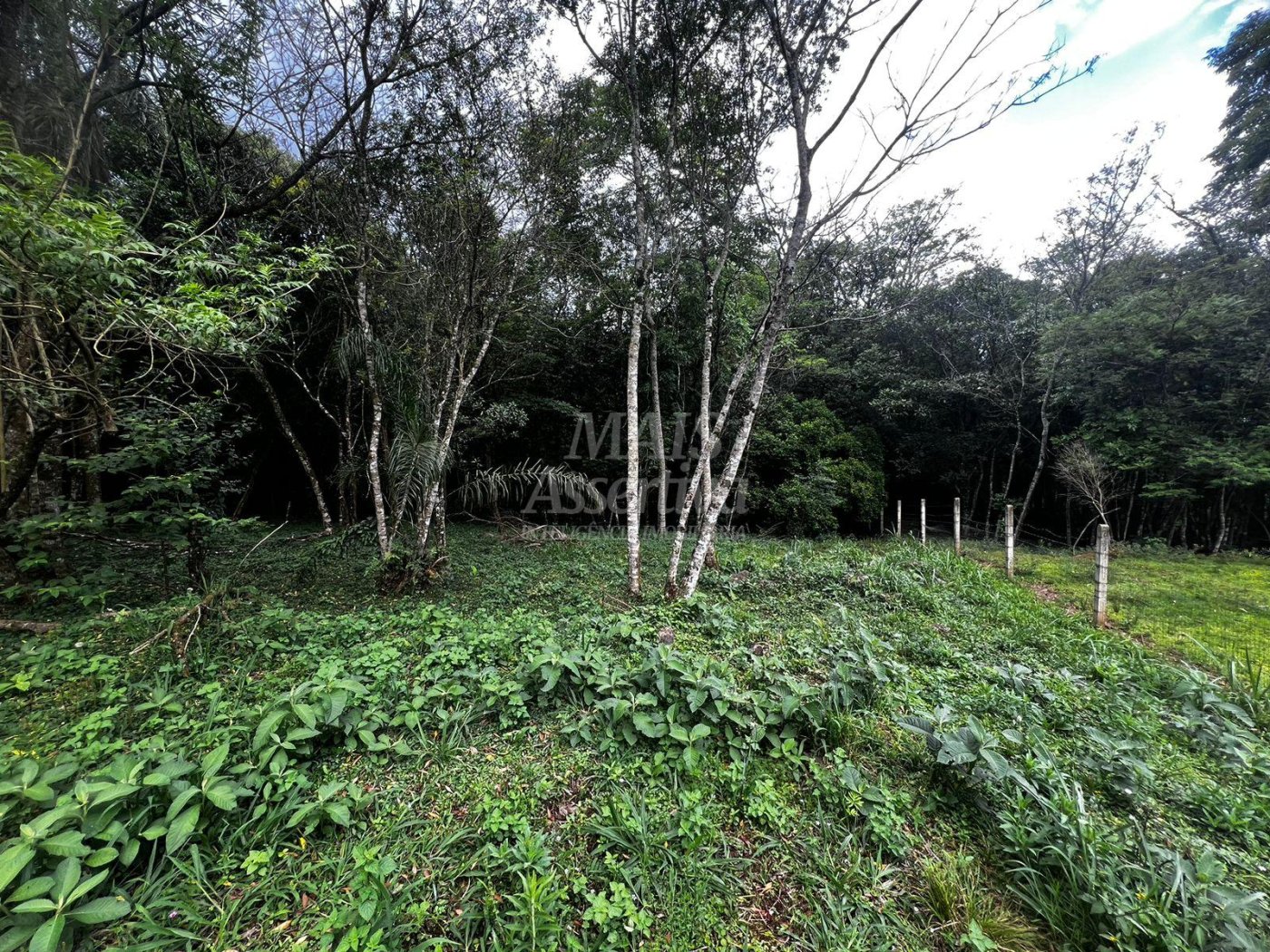 Chacara para venda em Campo Bom, Quatro Colônias Norte de 5.000m² 