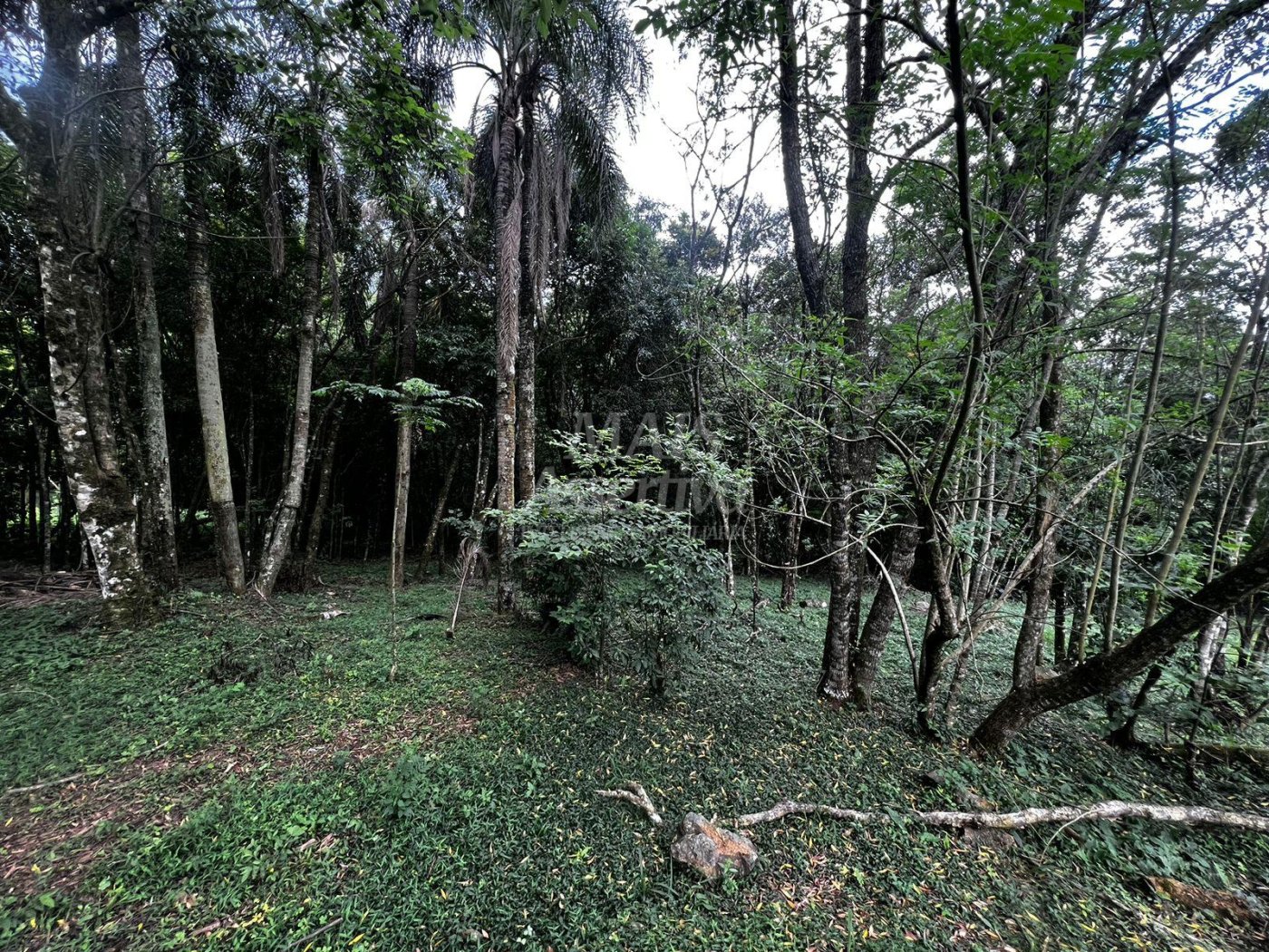 Chacara para venda em Campo Bom, Quatro Colônias Norte de 5.000m² 