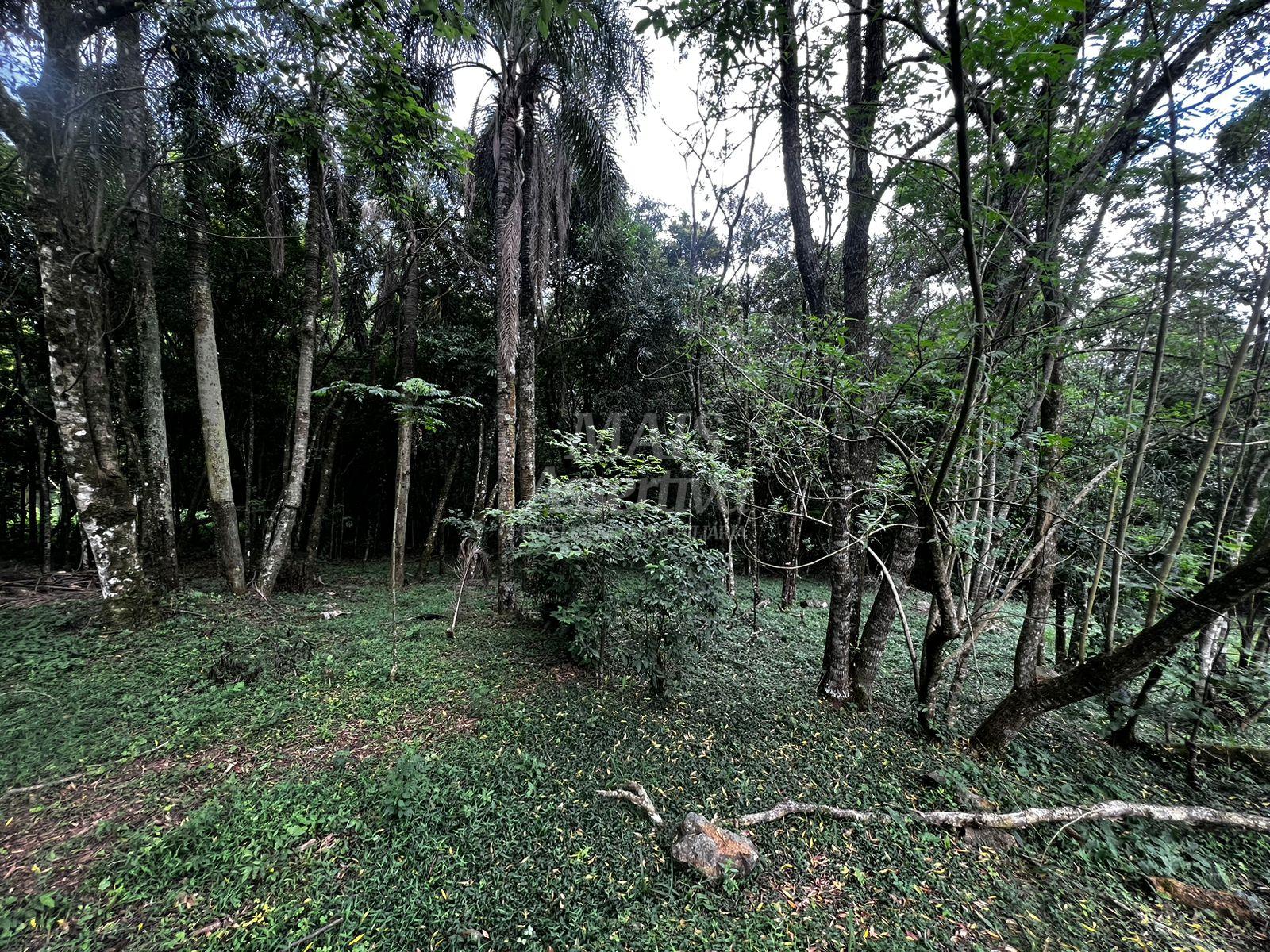 Chácara, 5000 m² - Foto 22