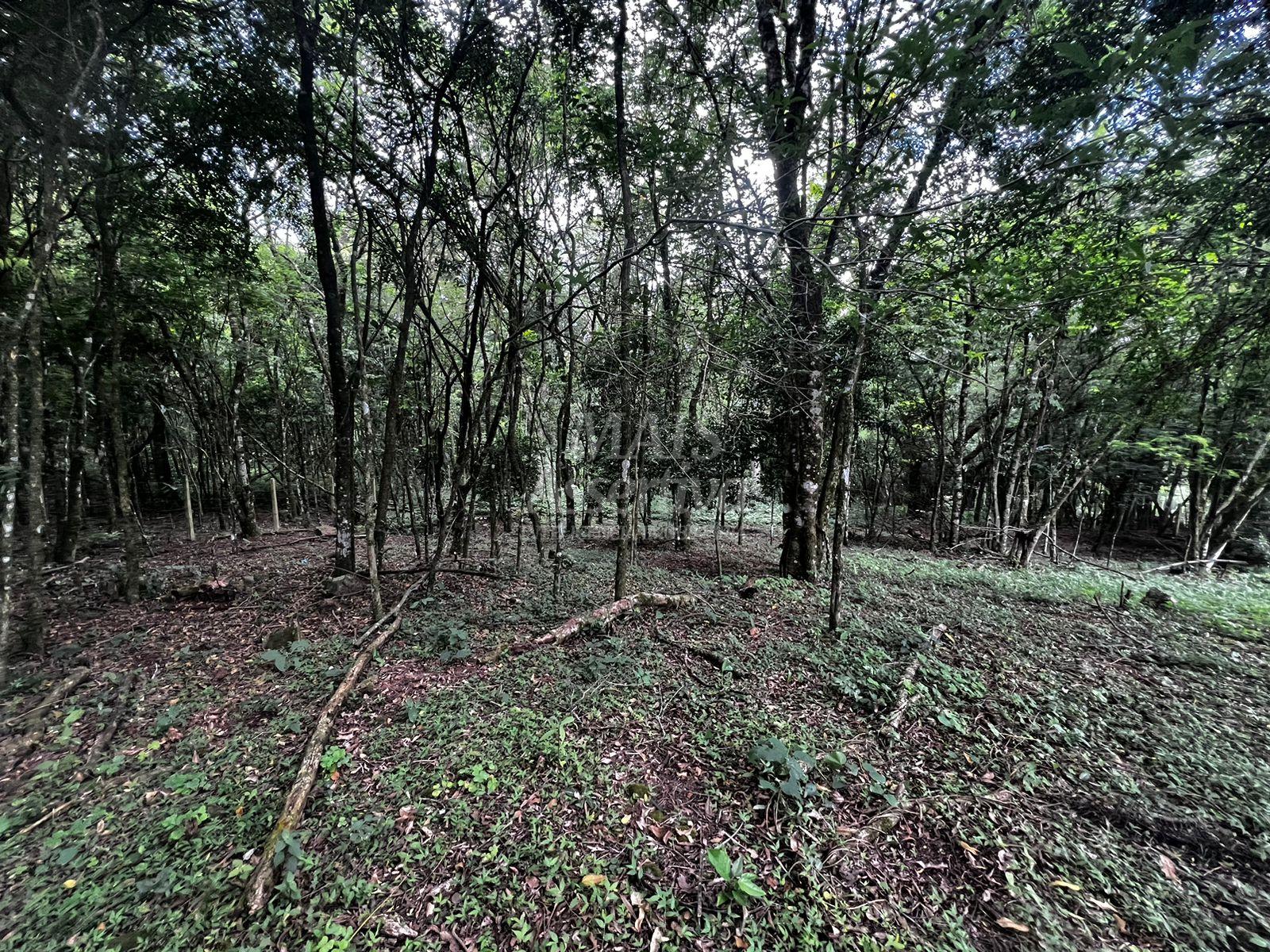 Chácara, 5000 m² - Foto 23