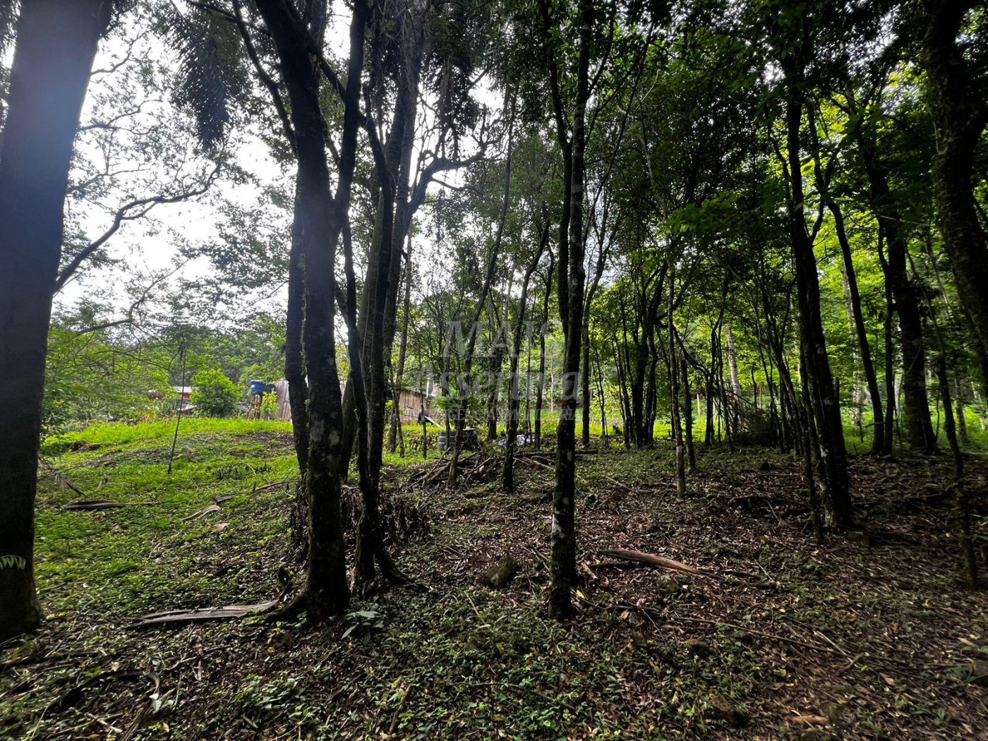 Chacara para venda em Campo Bom, Quatro Colônias Norte de 5.000m² 